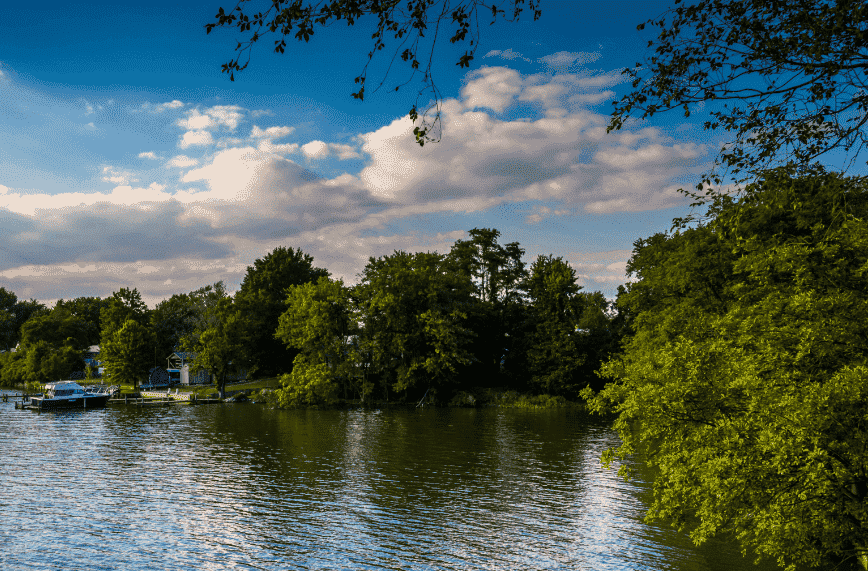 woods and pond near the commons